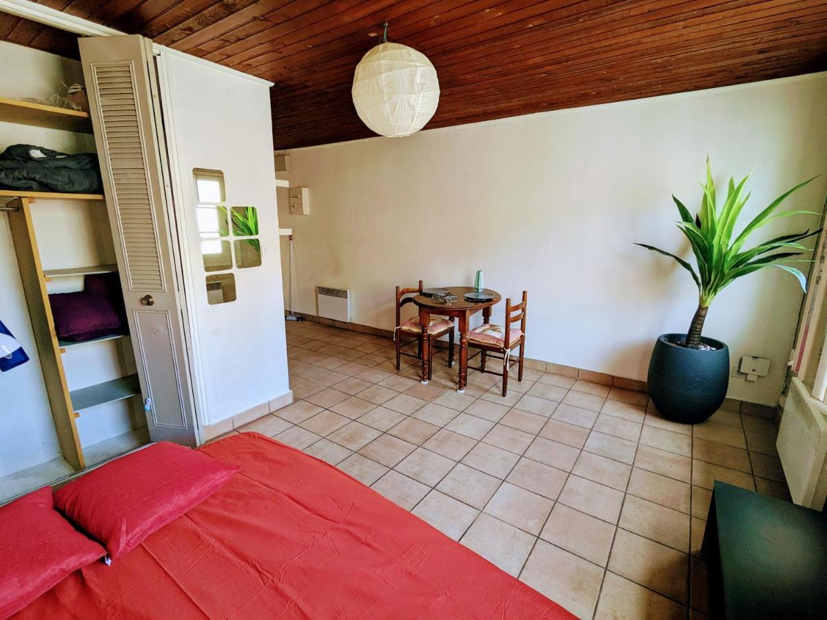 Hypercentre, Place Pie, Residence Amphoux Charmants Appartements Ou Studio Proche De La Gare Parkings Et Palais Des Papes アヴィニョン エクステリア 写真